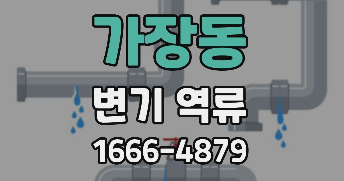 가장동 변기 역류