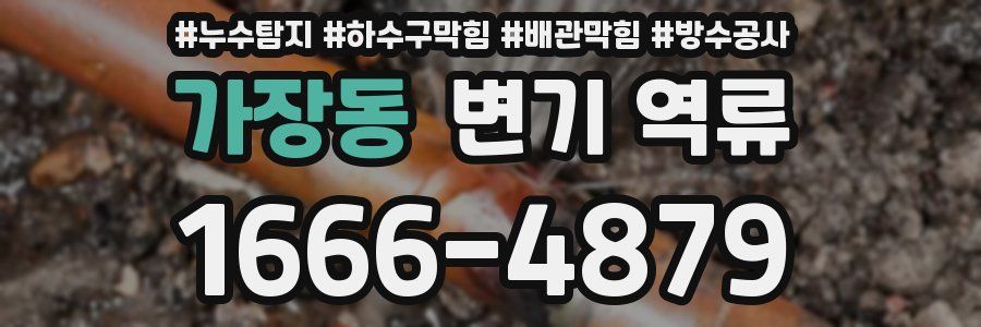 가장동 변기 역류