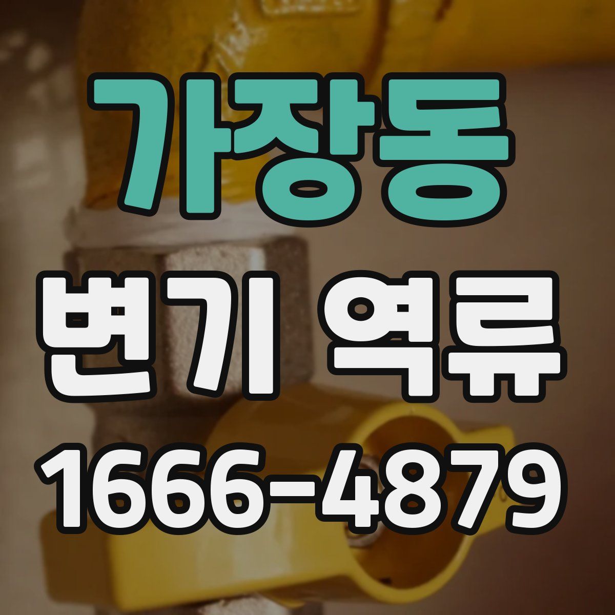 가장동 변기 역류
