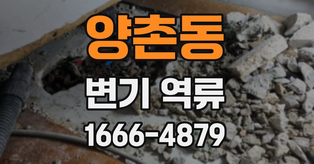 양촌동 변기 역류