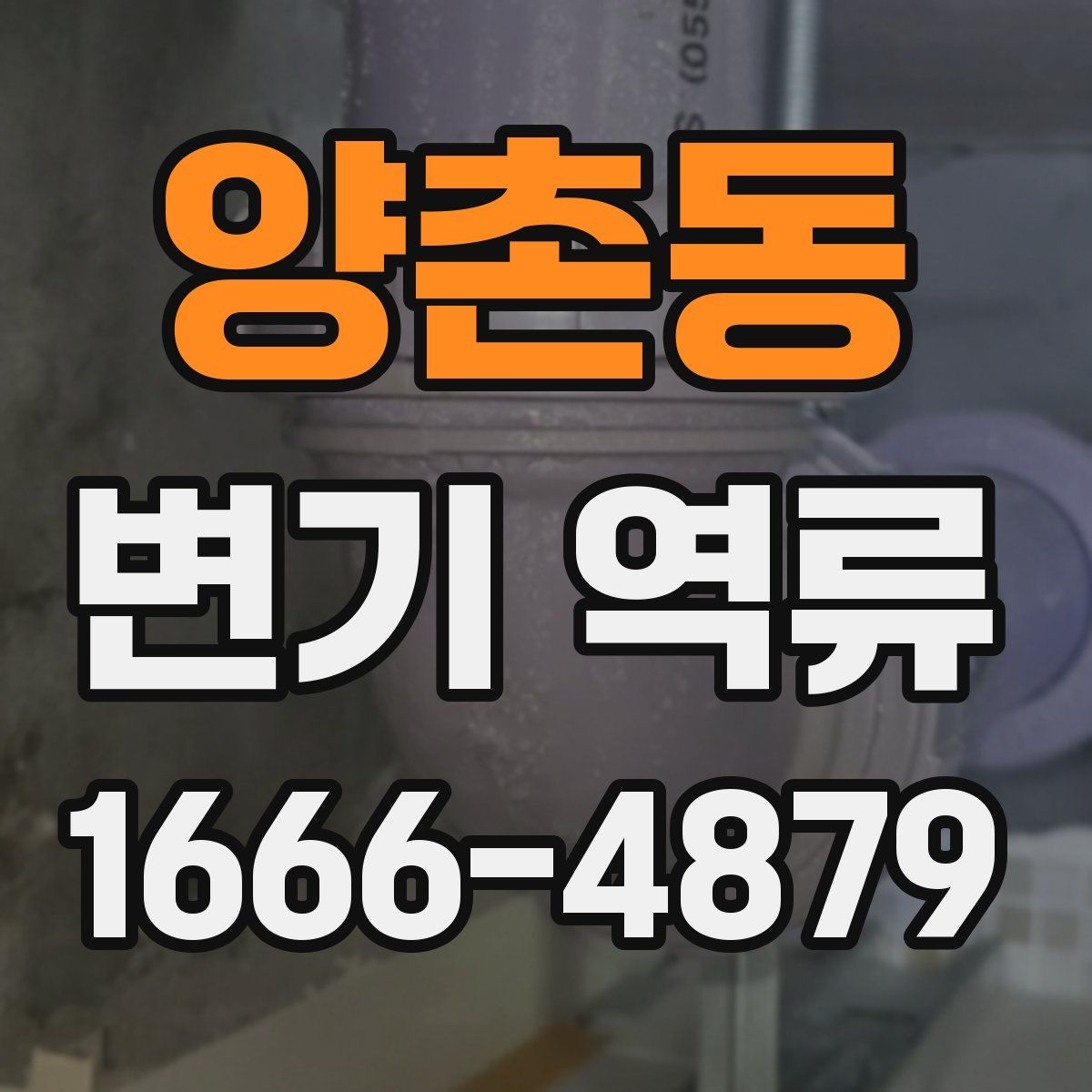 양촌동 변기 역류