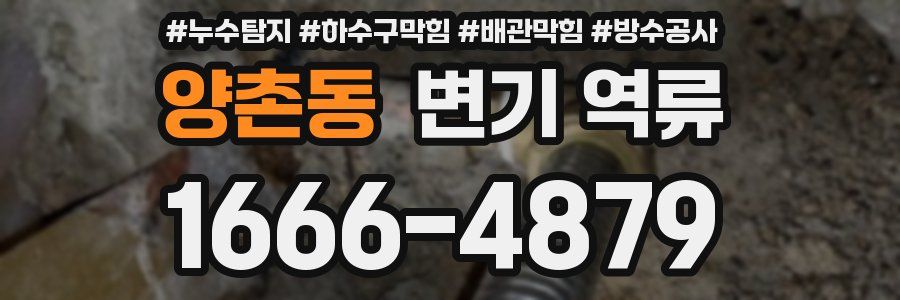 양촌동 변기 역류