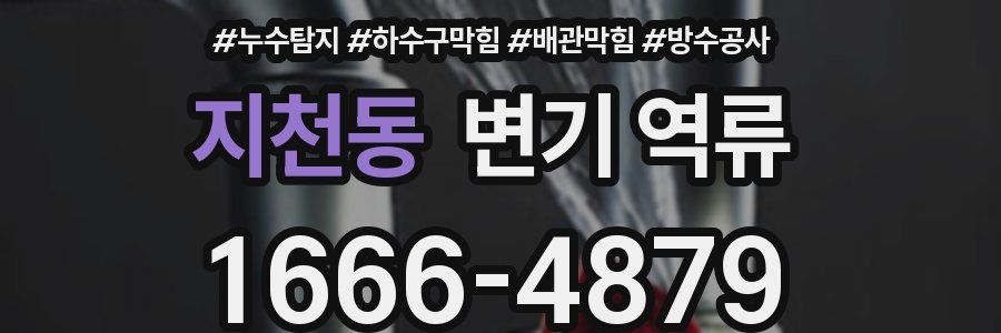 지천동 변기 역류