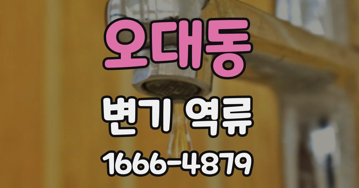 오대동 변기 역류