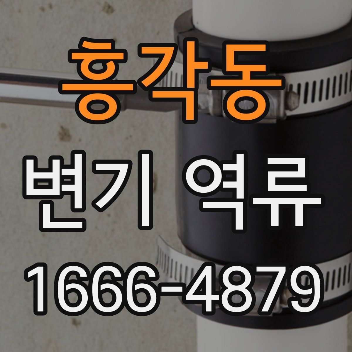 흥각동 변기 역류