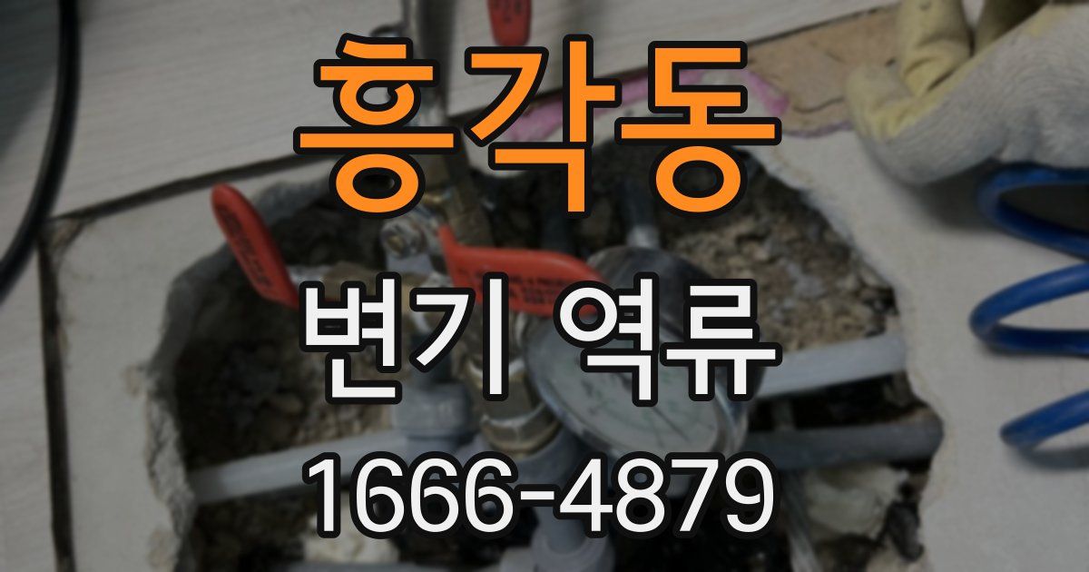 흥각동 변기 역류