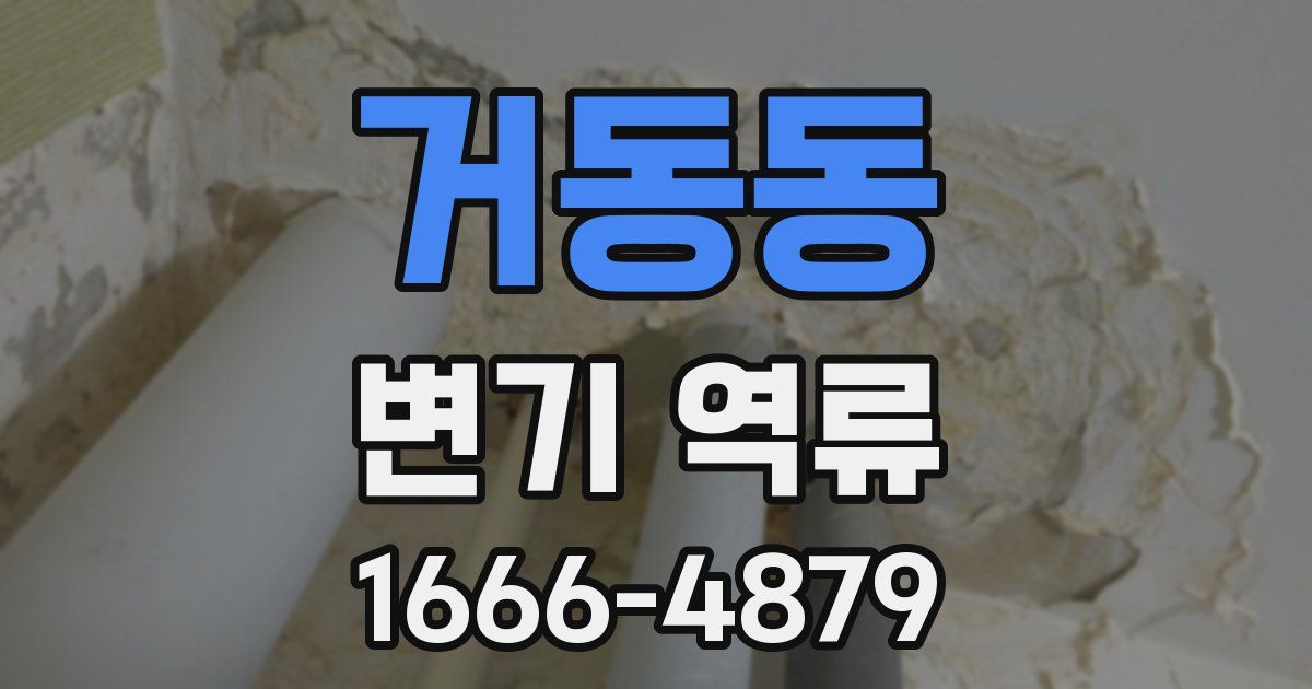 거동동 변기 역류