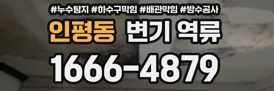 인평동 변기 역류