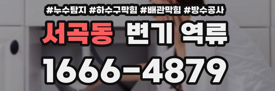 서곡동 변기 역류