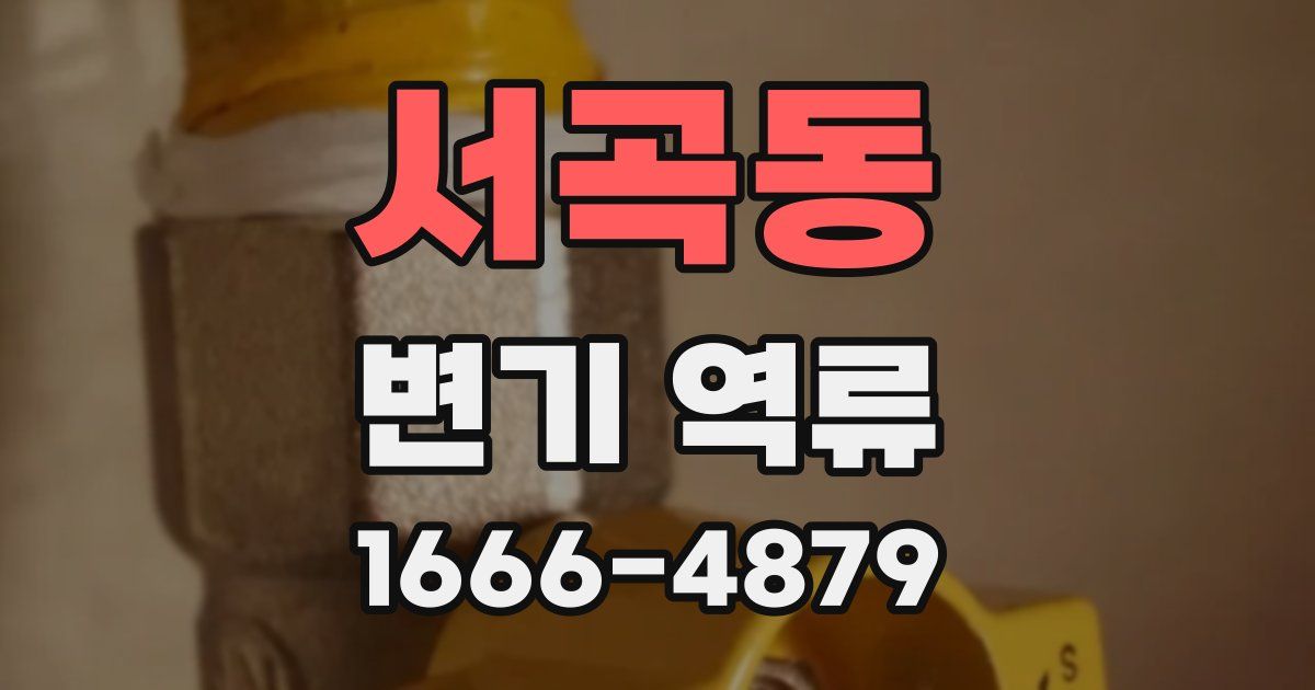 서곡동 변기 역류