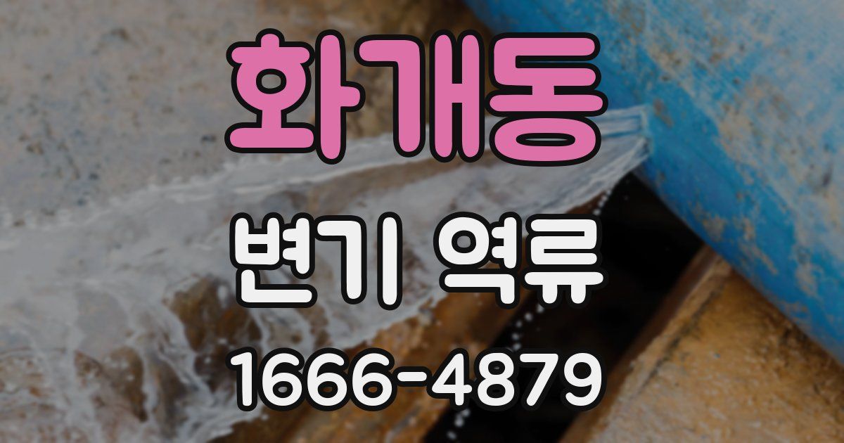 화개동 변기 역류