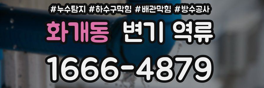 화개동 변기 역류