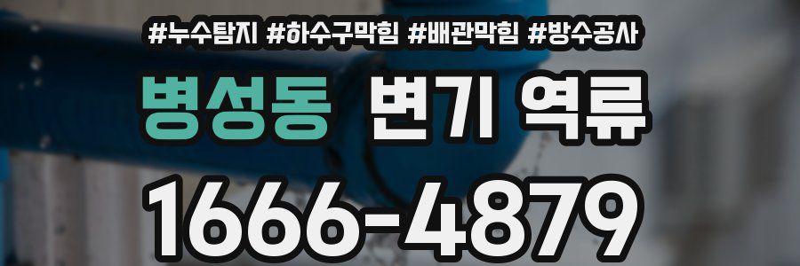 병성동 변기 역류