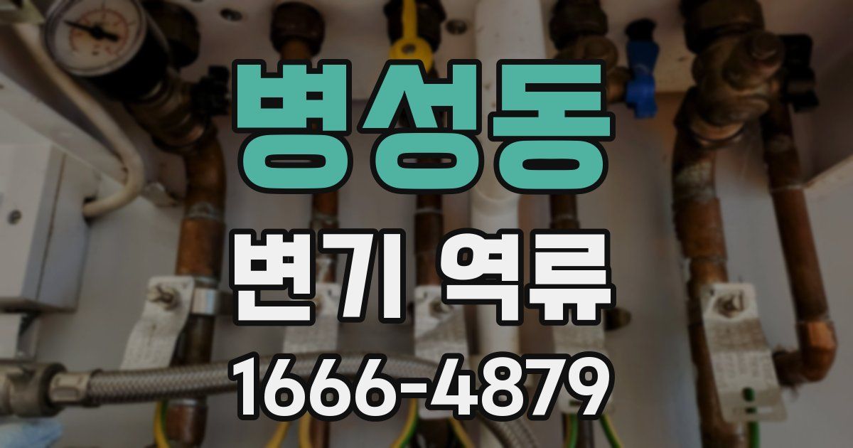 병성동 변기 역류