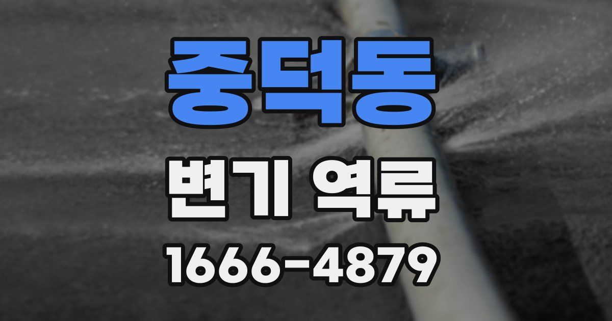 중덕동 변기 역류