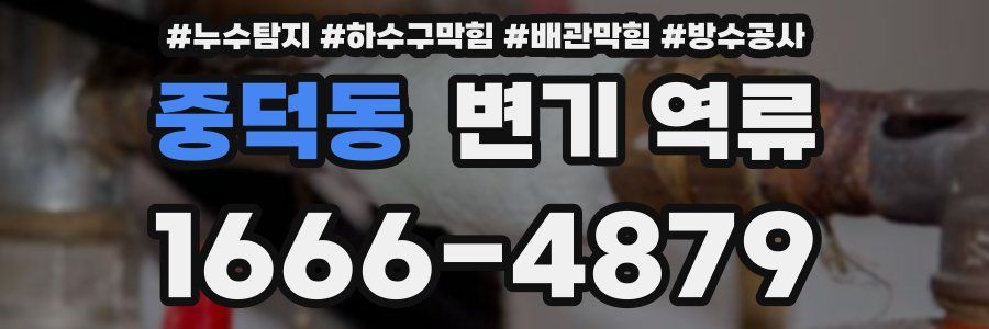 중덕동 변기 역류