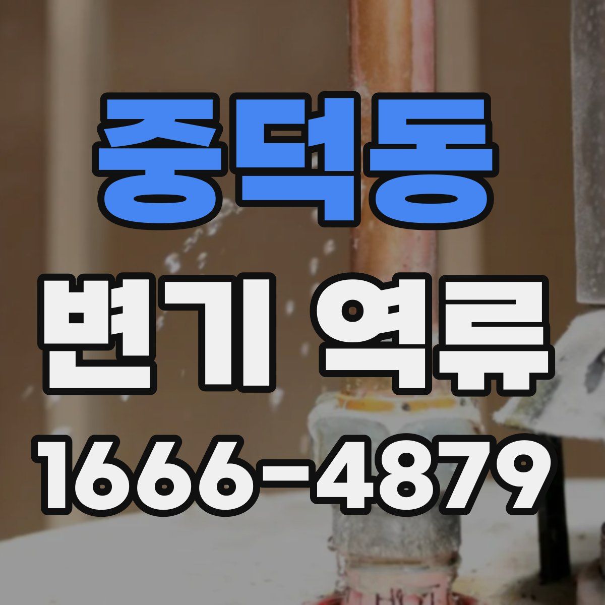 중덕동 변기 역류
