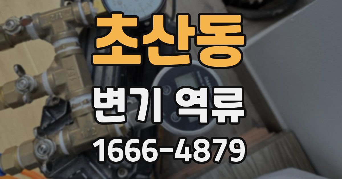 초산동 변기 역류