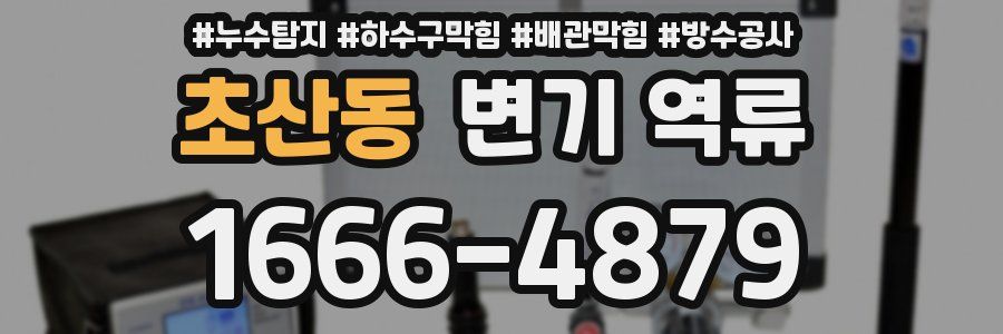 초산동 변기 역류