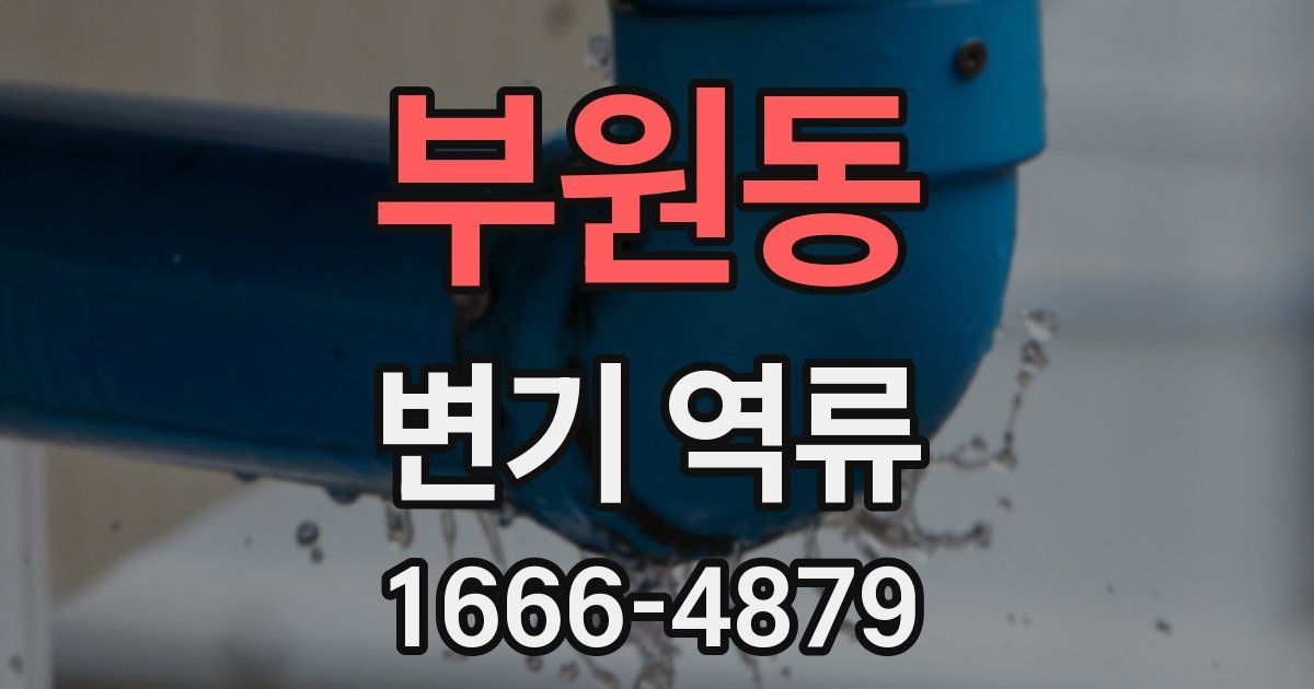 부원동 변기 역류