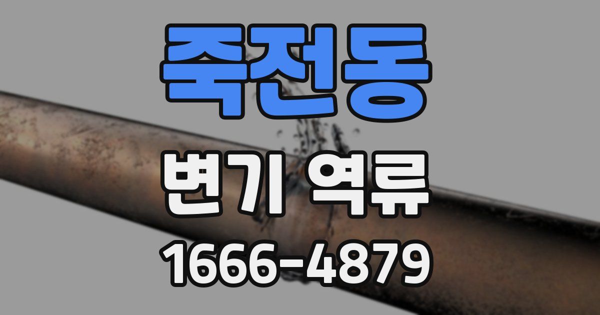 죽전동 변기 역류