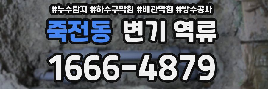 죽전동 변기 역류