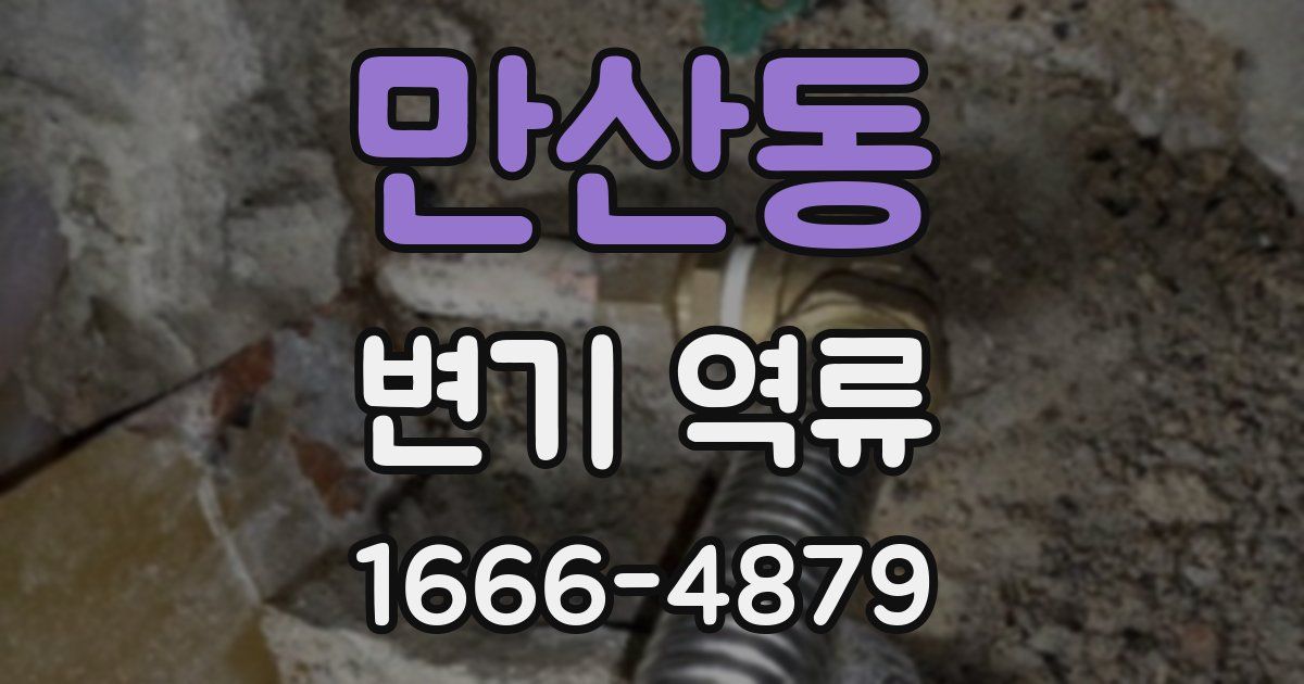 만산동 변기 역류