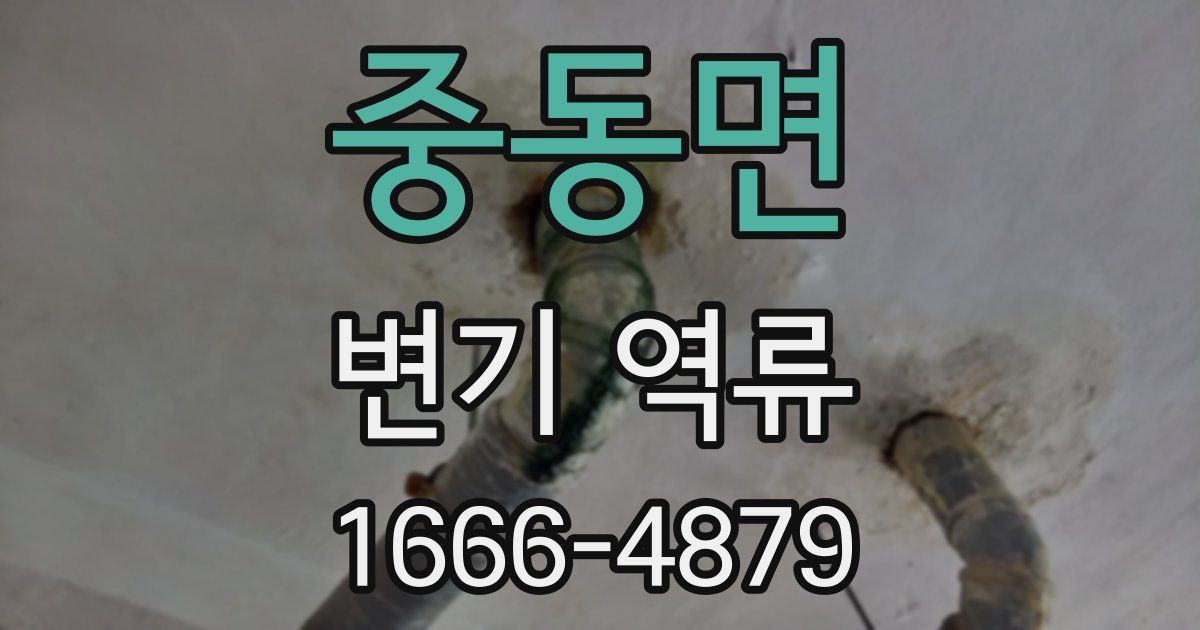 중동면 변기 역류