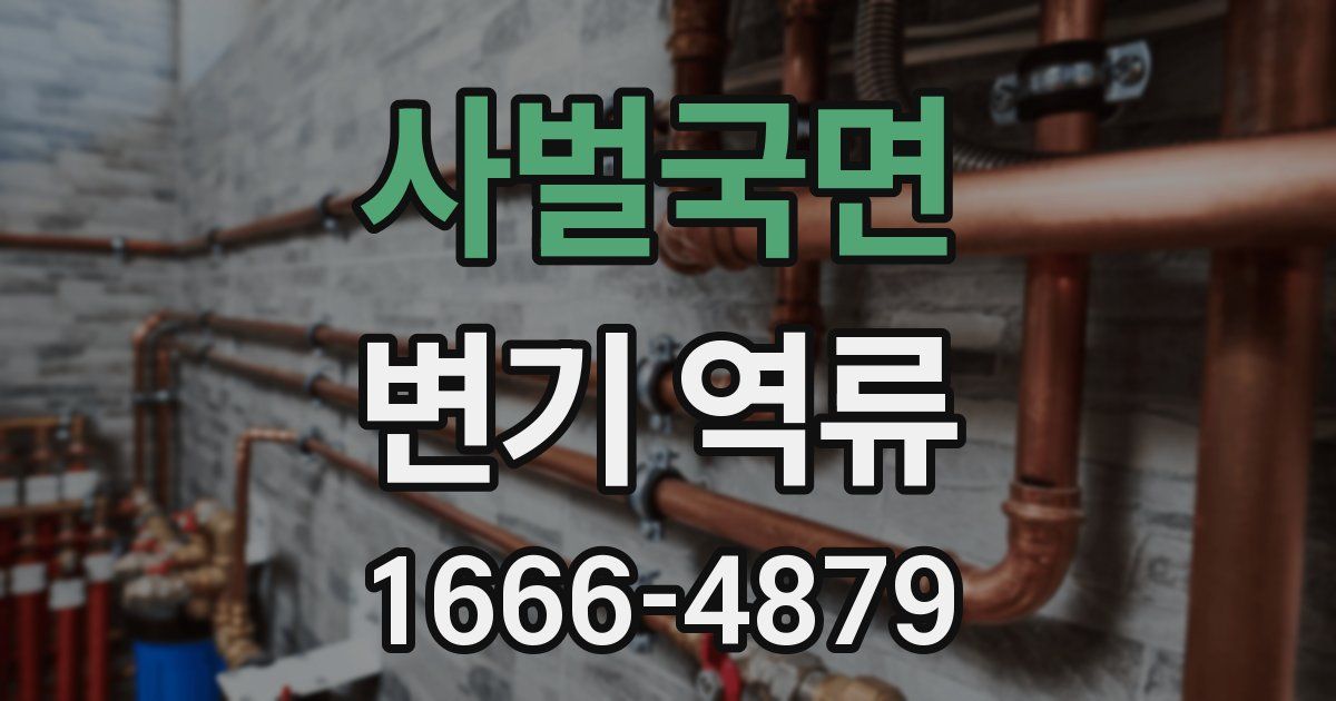 사벌국면 변기 역류