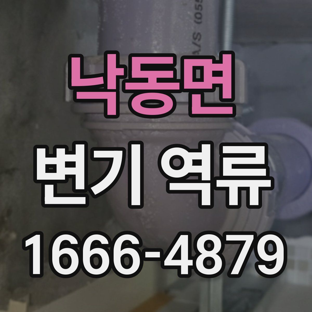 낙동면 변기 역류