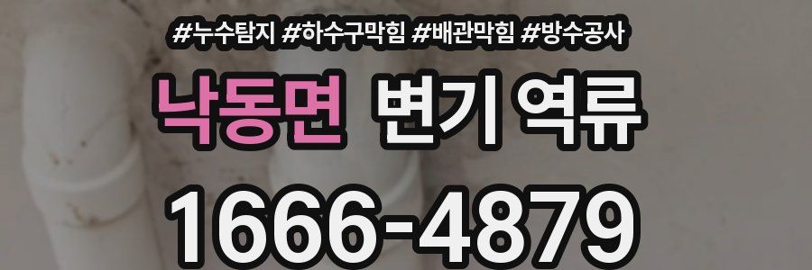 낙동면 변기 역류