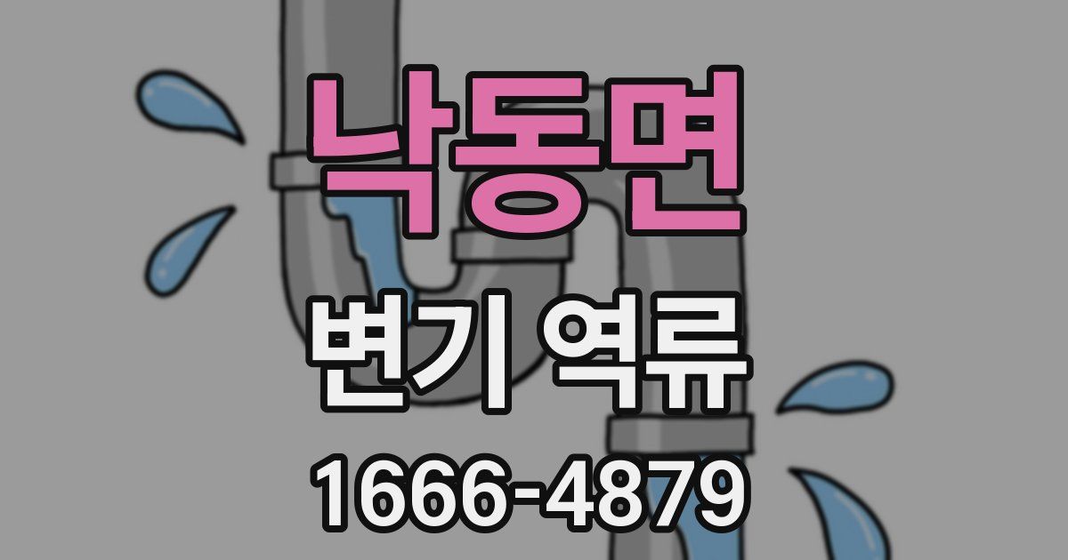 낙동면 변기 역류