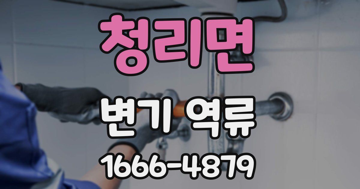 청리면 변기 역류