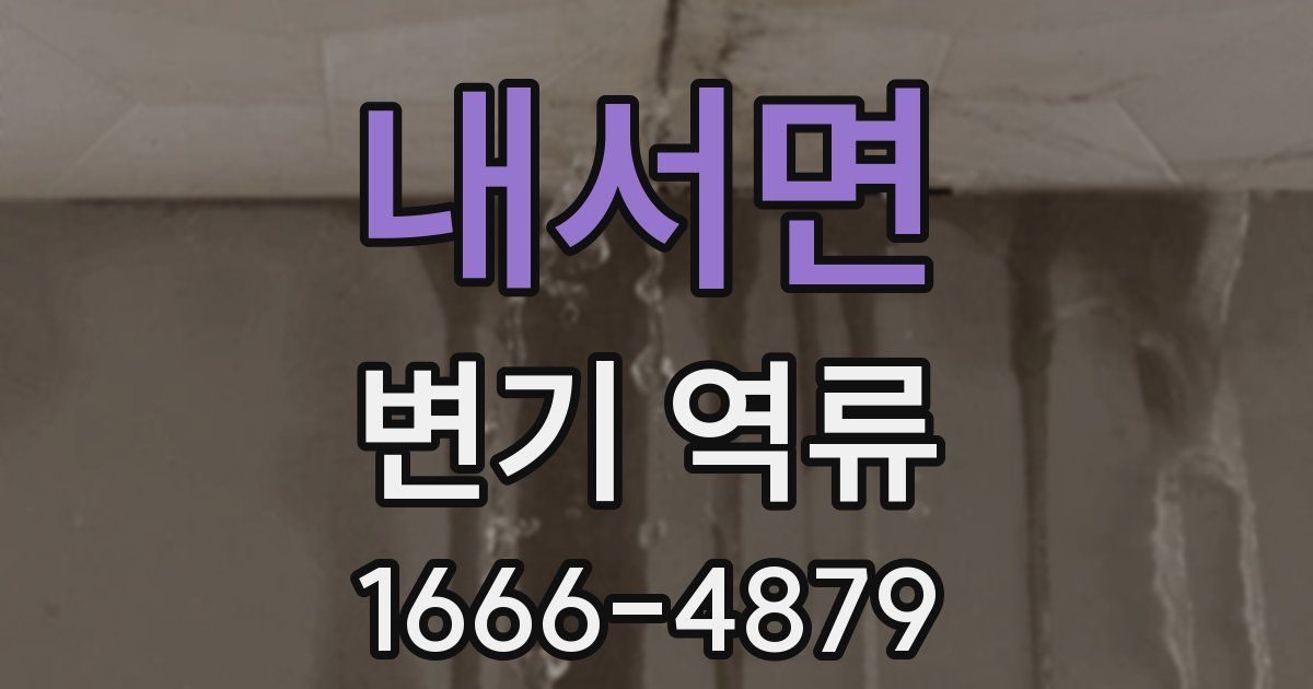 내서면 변기 역류