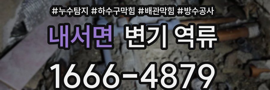 내서면 변기 역류