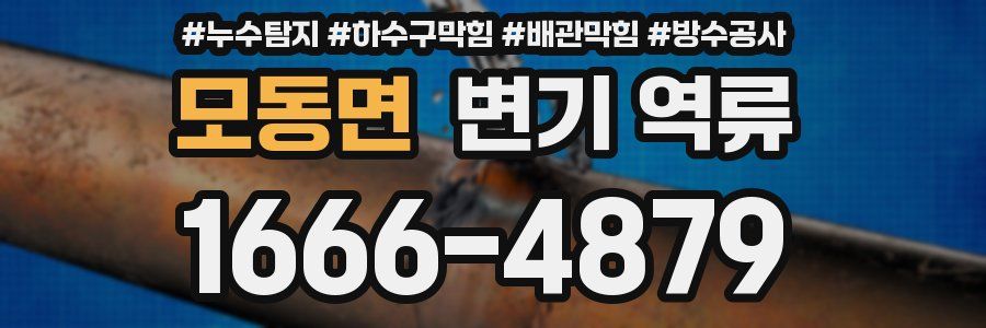 모동면 변기 역류