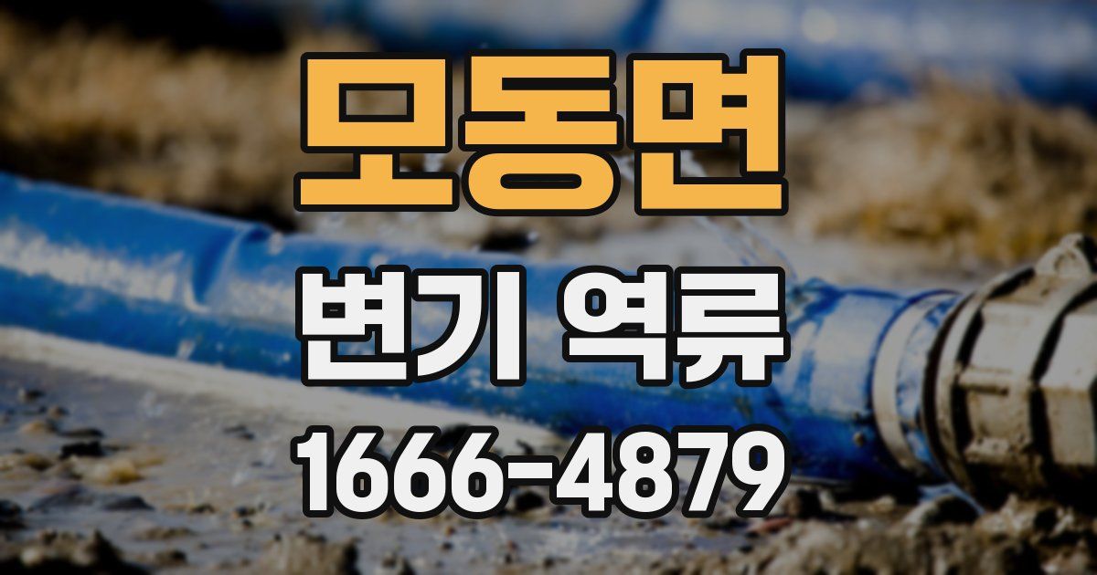 모동면 변기 역류