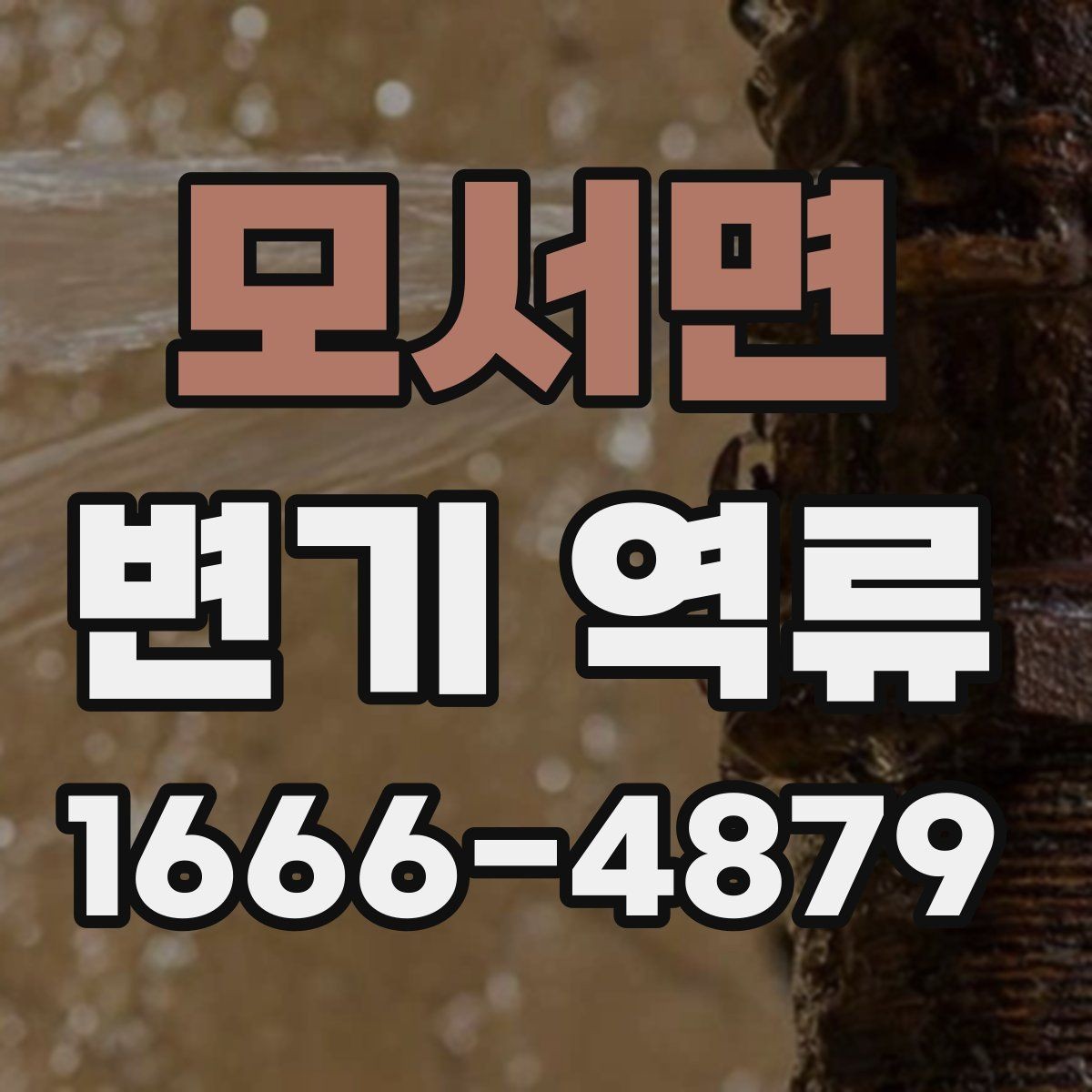 모서면 변기 역류 문제를 미리 알아차리는 신호