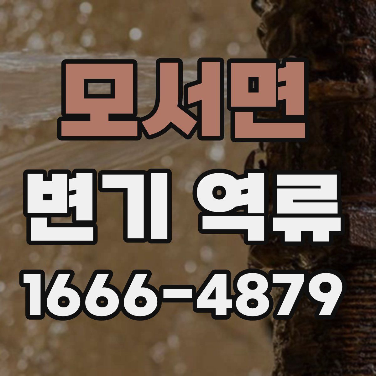 모서면 변기 역류