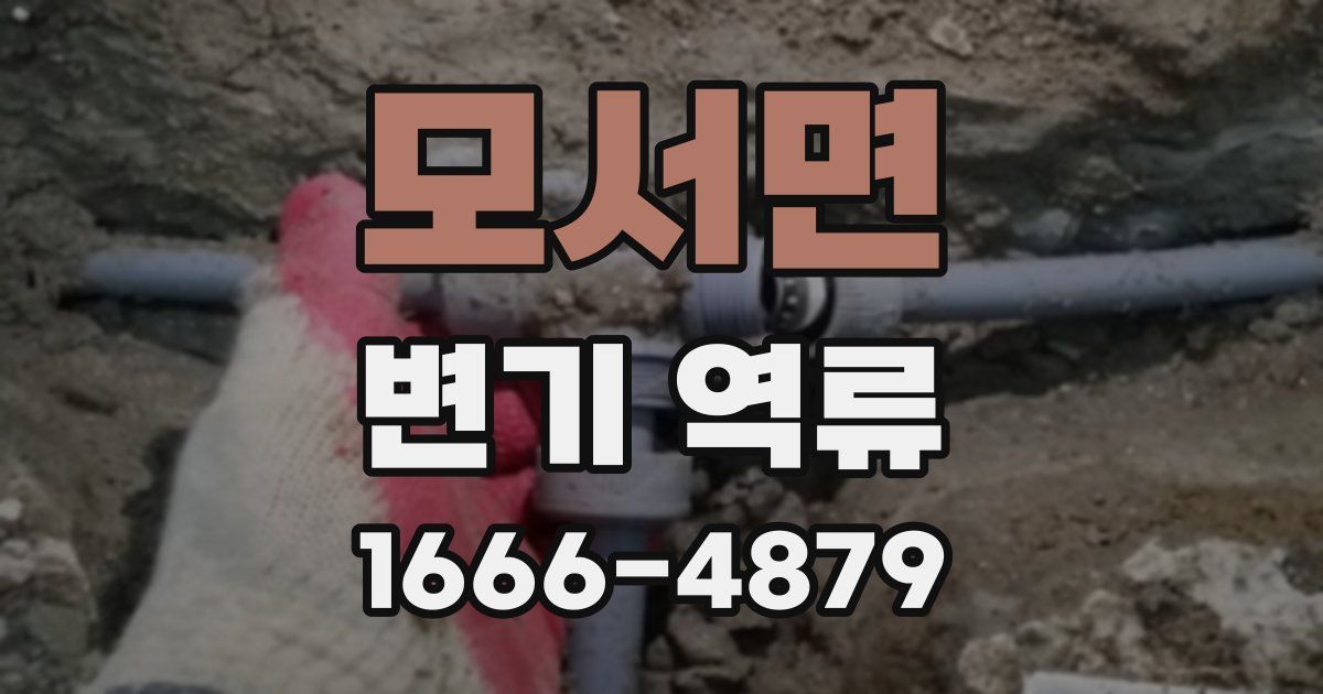 모서면 변기 역류