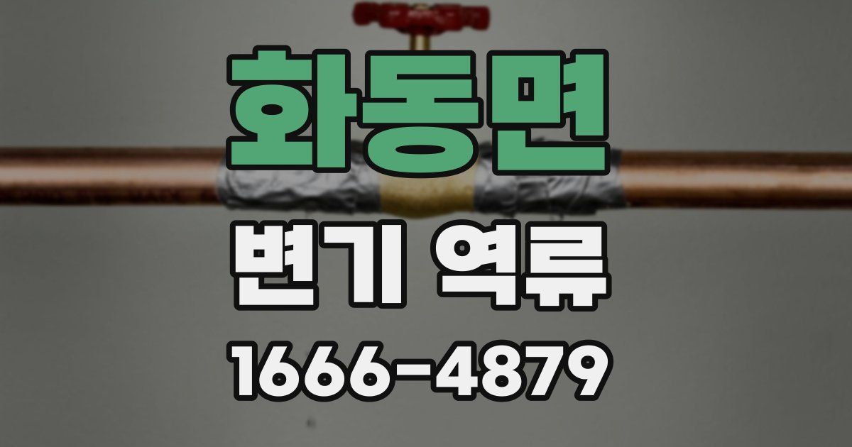 화동면 변기 역류