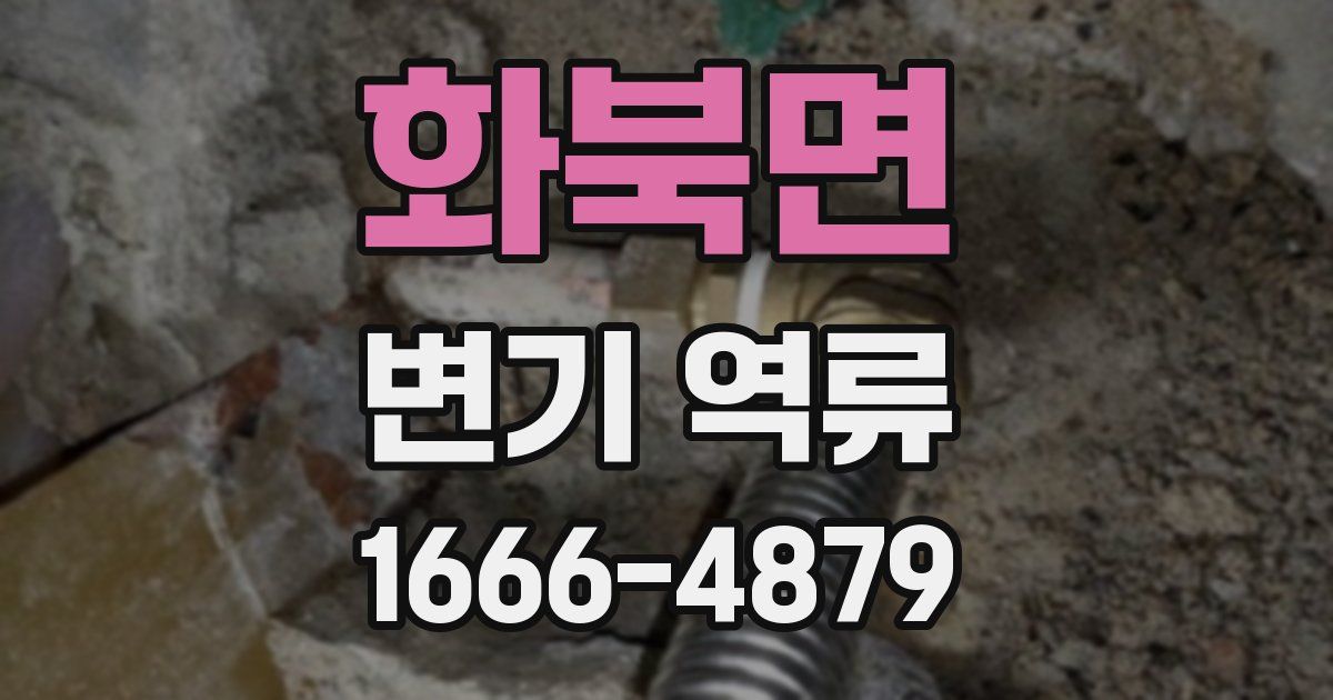 화북면 변기 역류