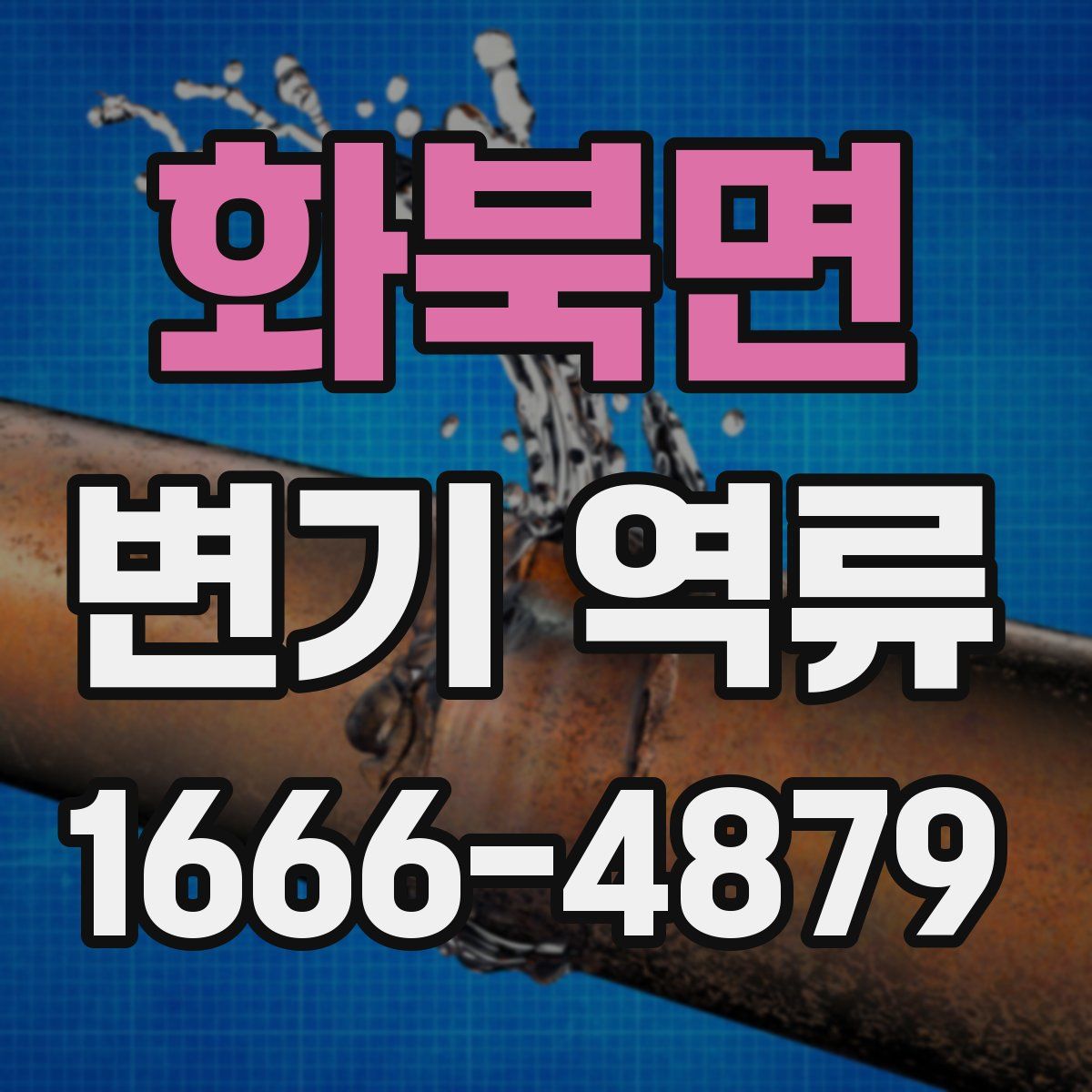 화북면 변기 역류