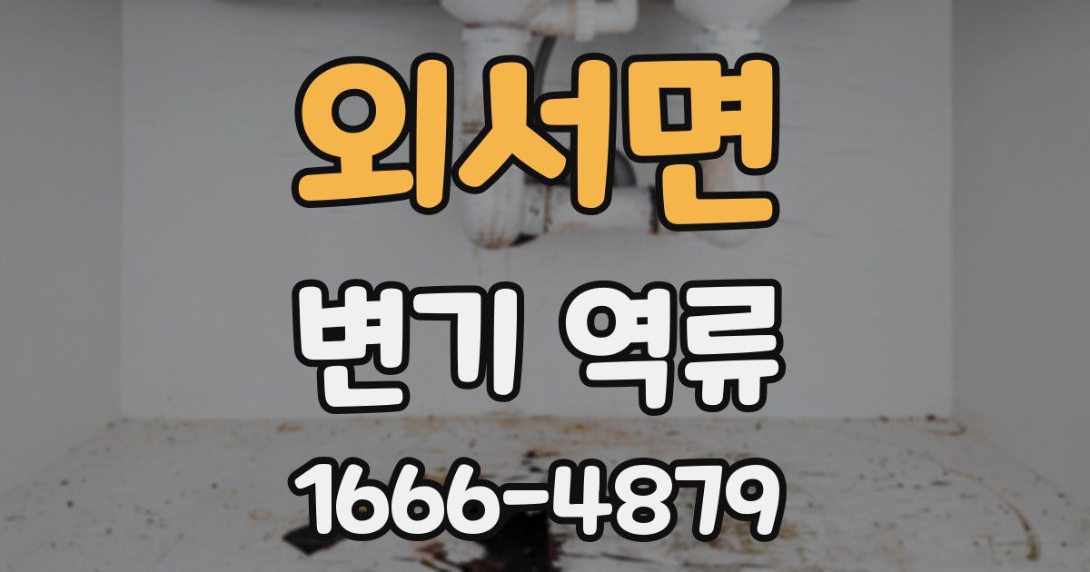 외서면 변기 역류