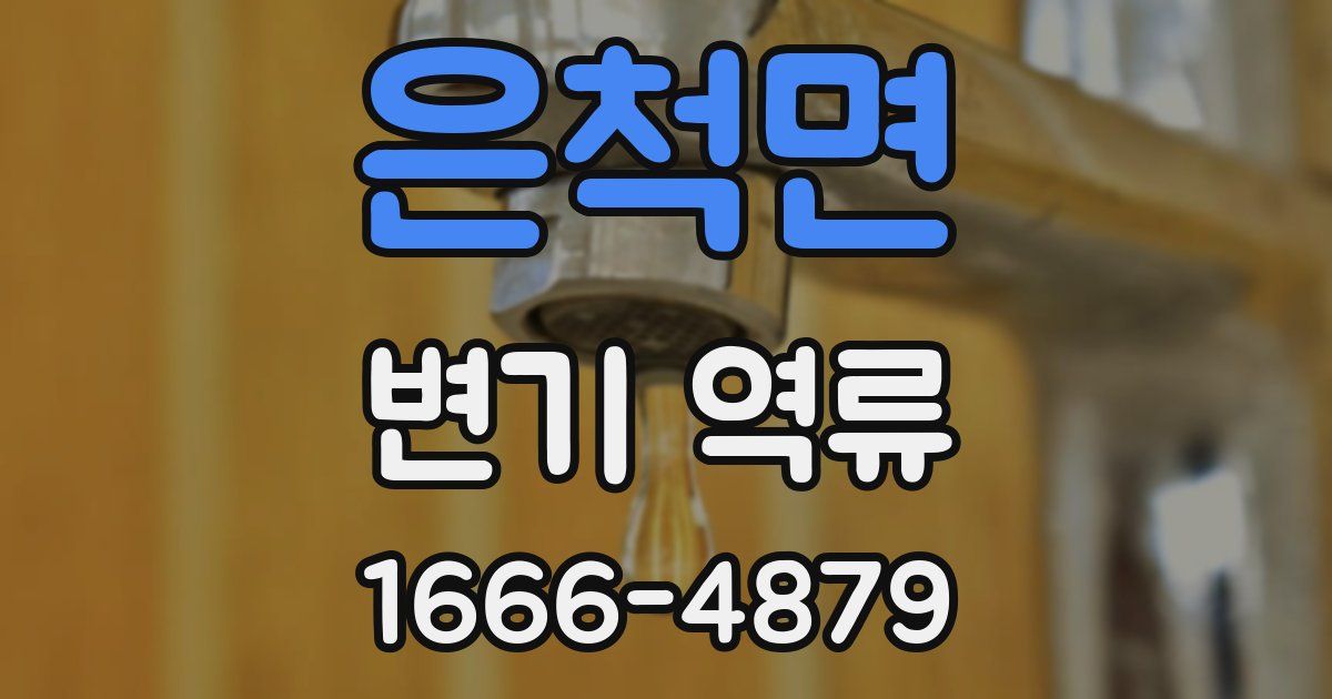 은척면 변기 역류