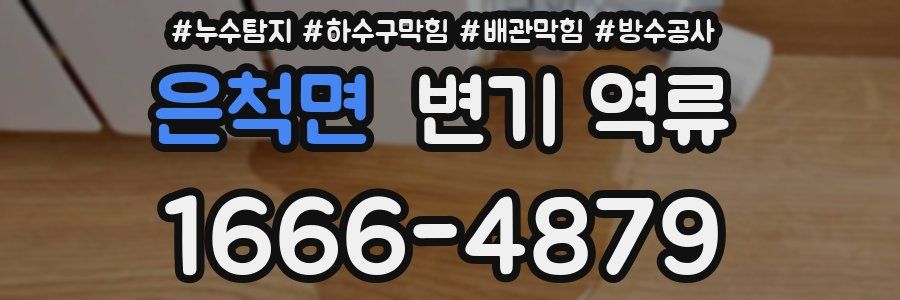 은척면 변기 역류