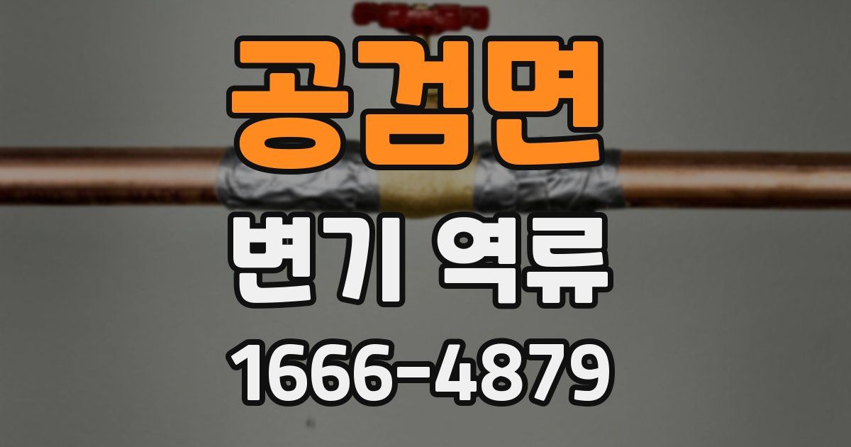 공검면 변기 역류