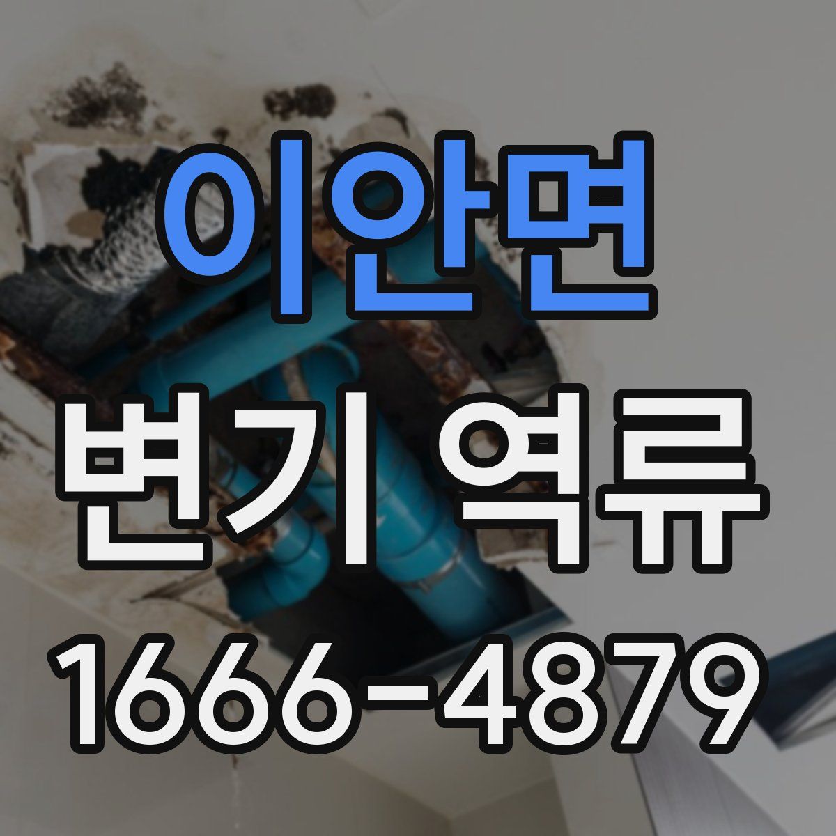 이안면 변기 역류