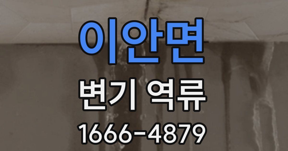 이안면 변기 역류