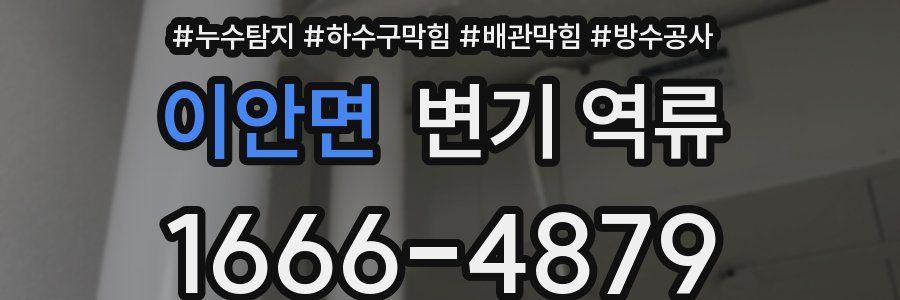 이안면 변기 역류